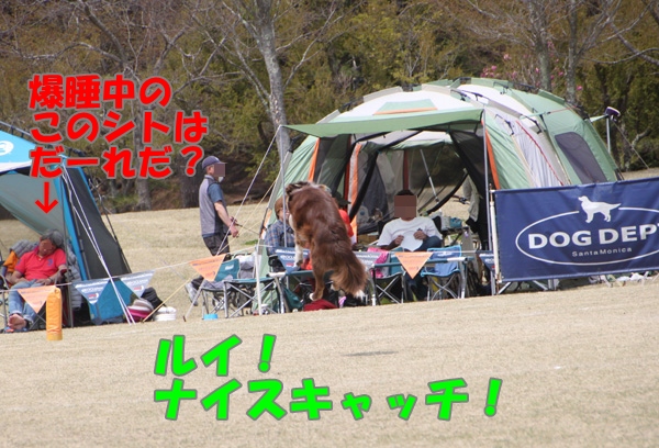 93ナイスキャッチ