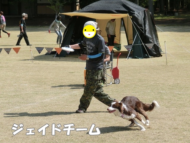 ジェイドチーム
