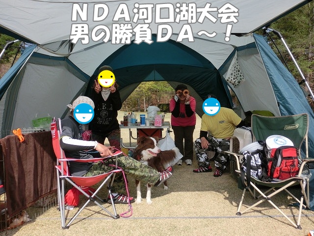 テント