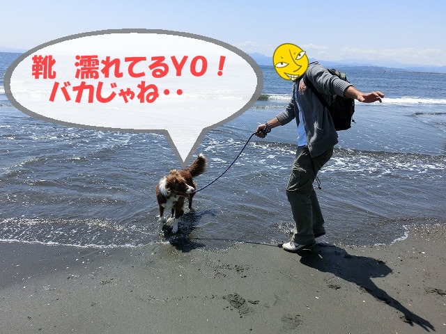 江ノ島海