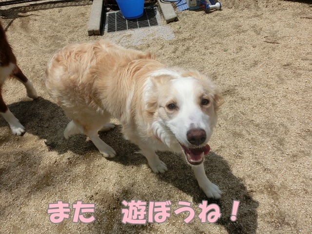 コロン2