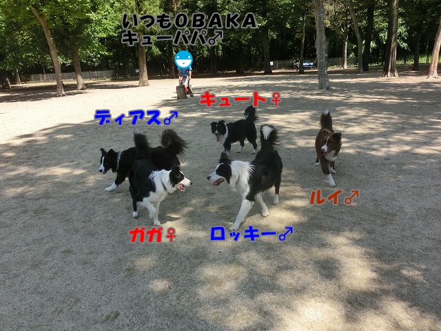 5ボー