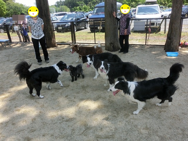 5ボー2