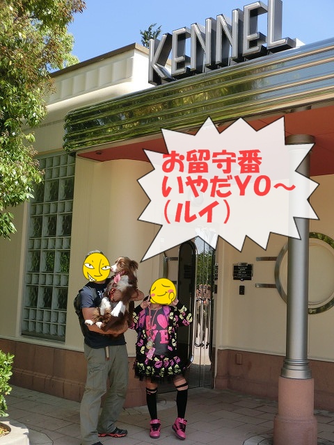 USJ2