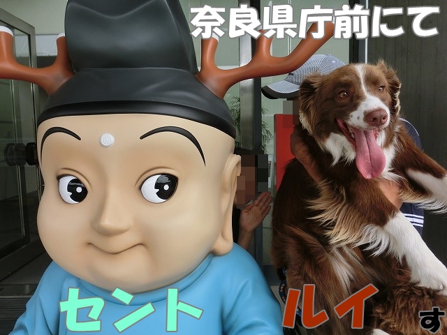 セント ルイ