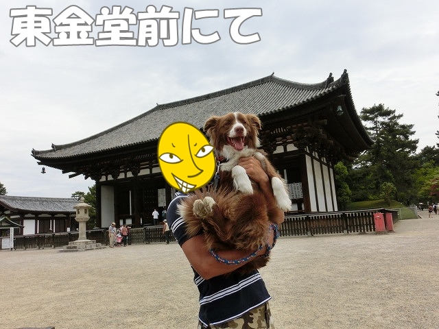東金堂