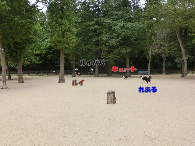 はしれー3