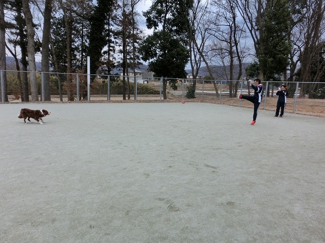 onee 111