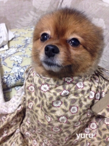 2014102219135587b.jpg