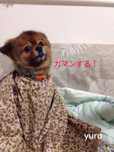 2014102219143127d.jpg