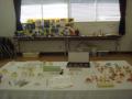 DSC07886.jpg
