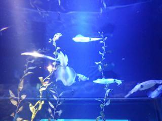 DSC_0075.jpg