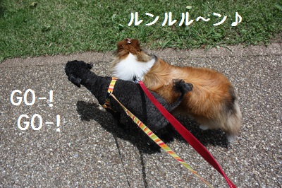 サクラと散歩4
