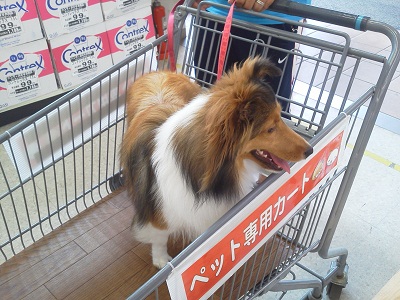 ホームセンター