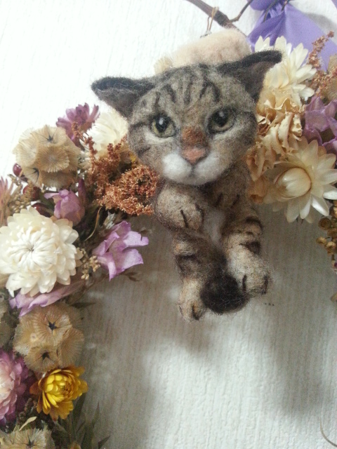 20140925_160152.jpg