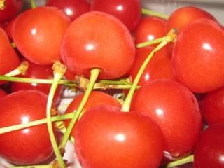 IMG_0041_20120611210546.jpg