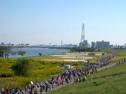 IMG_0373_20121022163224.jpg