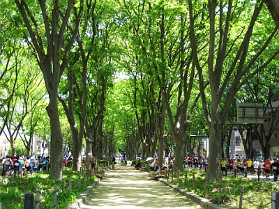 sendai014.jpg