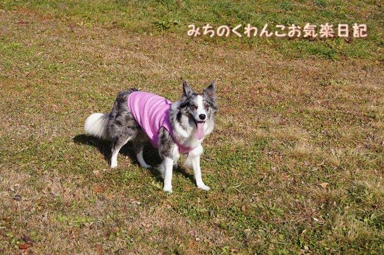 20121203-b1.jpg
