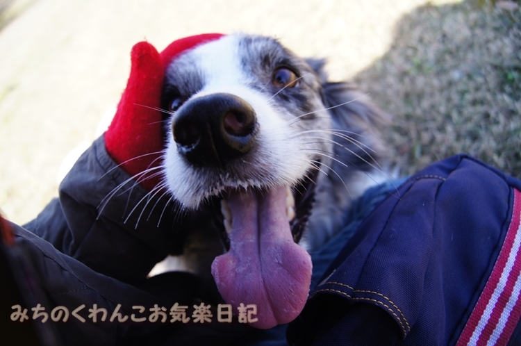 20121203-b3.jpg