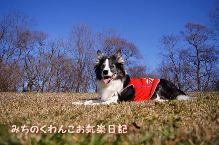 20121203-b6.jpg
