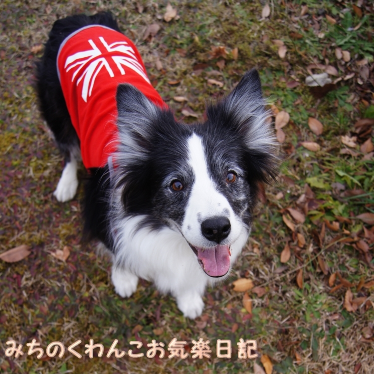 20121203-b7.jpg