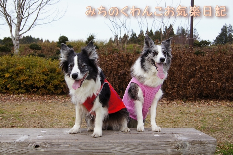 20121203-b8.jpg