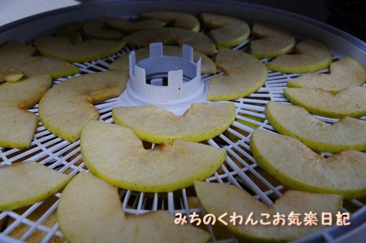 20121204-b2.jpg