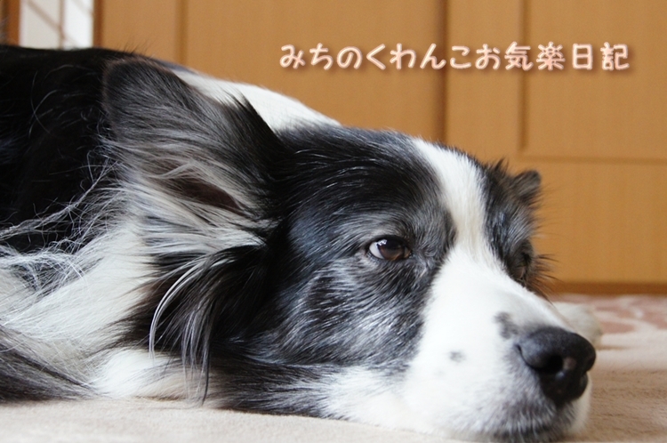 20121204-b6.jpg