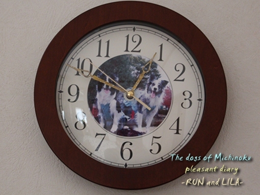 20121206-b13.jpg