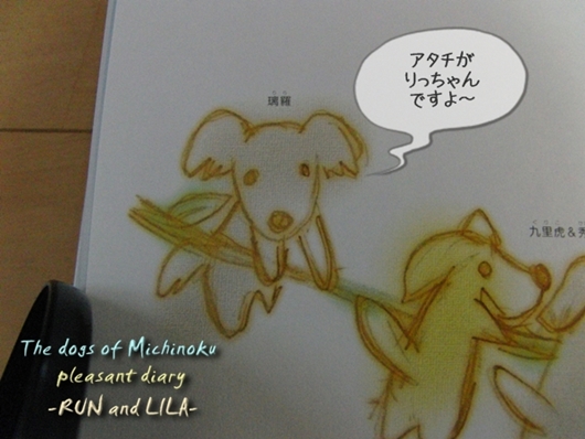 20121206-b14.jpg