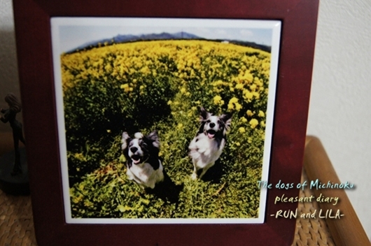 20121206-b9.jpg