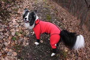 20121210-b17.jpg