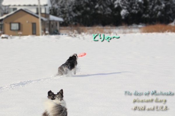 20121210-b2.jpg
