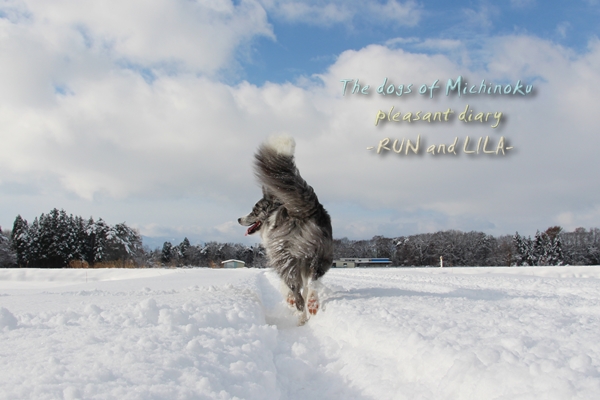20121210-b4.jpg
