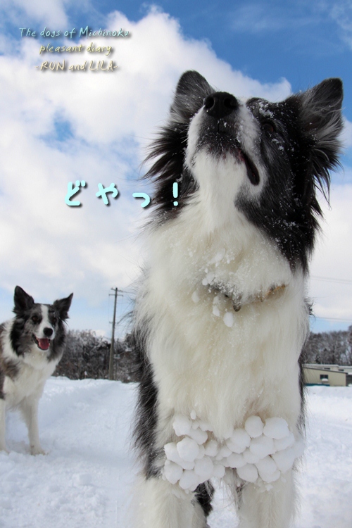 20121210-b6.jpg