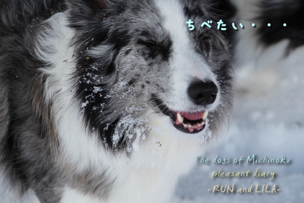 20121210-b7.jpg