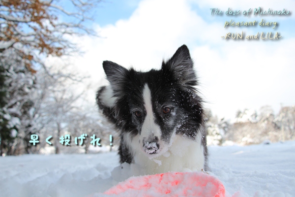 20121210-b8.jpg