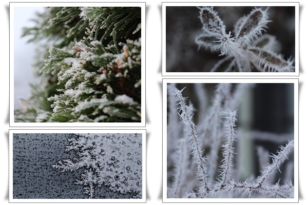 20121211-b1.jpg