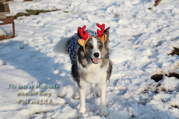 20121213-b1.jpg
