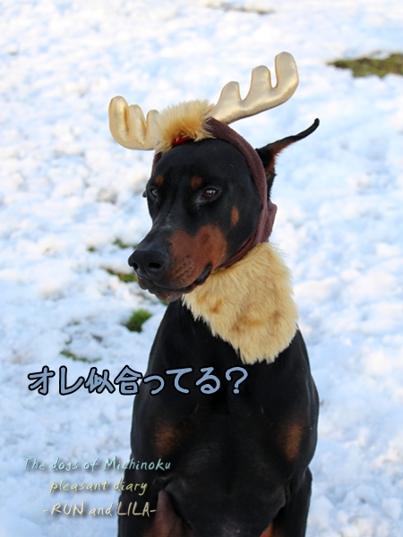20121213-b2.jpg