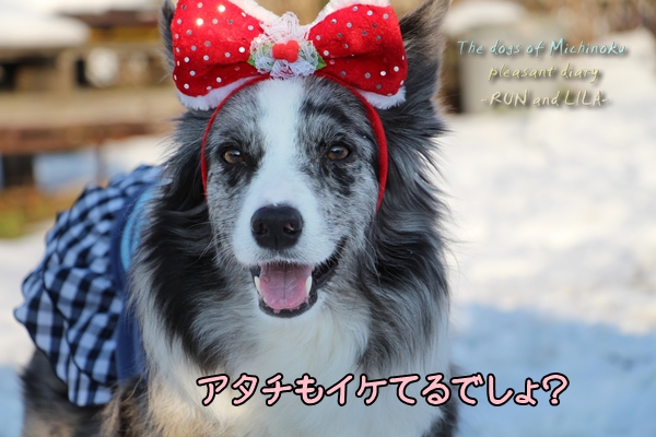 20121213-b3.jpg