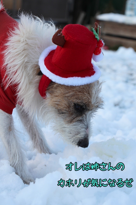 20121213-b4.jpg