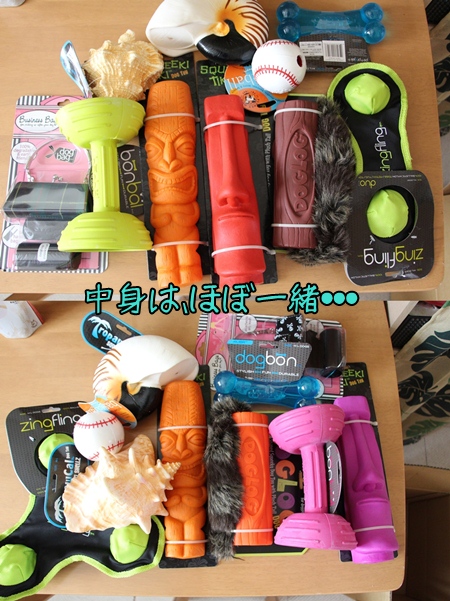 20121213-b5.jpg