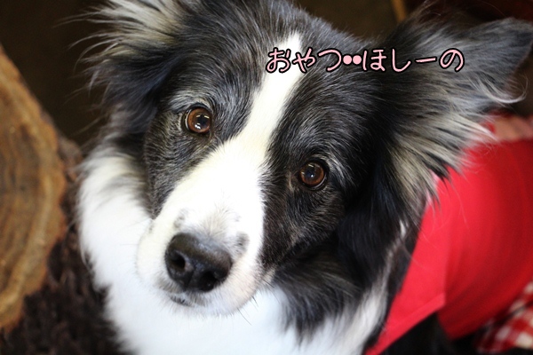 20121213-b7.jpg