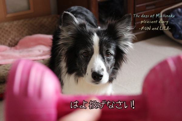 20121214-b1.jpg