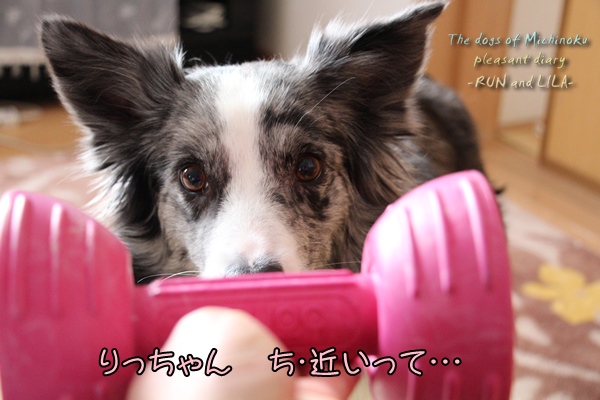 20121214-b2.jpg