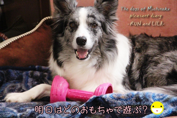 20121214-b3.jpg