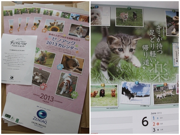 20121214-b6.jpg
