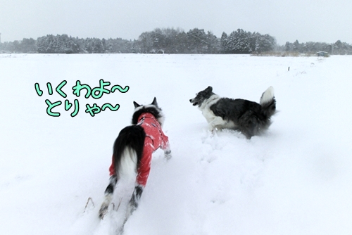 20121220b-1.jpg